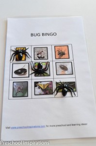 Bug Bingo card by Preschool Inspirations