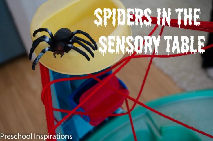 Spiders in the Sensory Table - Preschool Inspirations