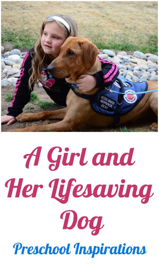 A Girl and Her Lifesaving Dog by Preschool Inspirations