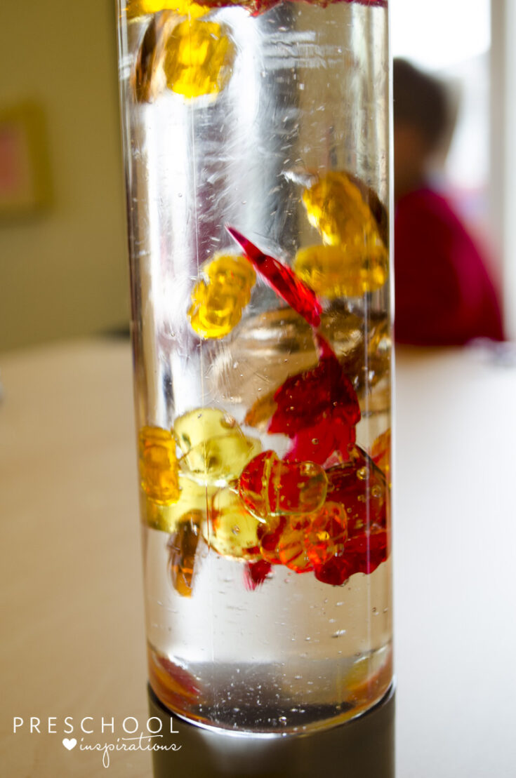 Fall Discovery Bottle for Sensory Play - Preschool Inspirations