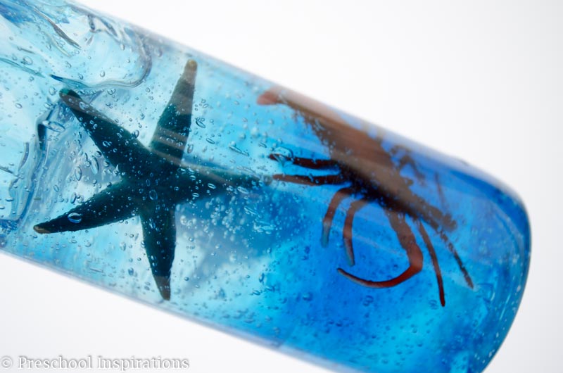 Ocean Creature Discovery Bottle - Preschool Inspirations-2