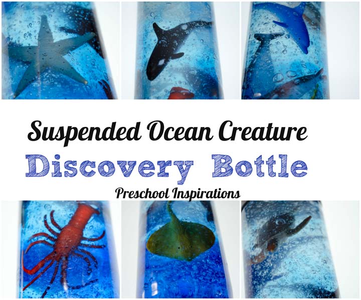 Make an ocean creature discovery bottle where the creatures stay in place | Preschool Inspirations