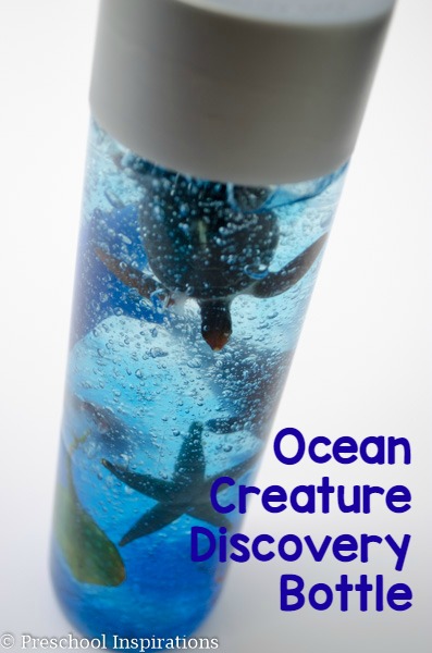 Ocean Creature Discovery and Sensory Bottle