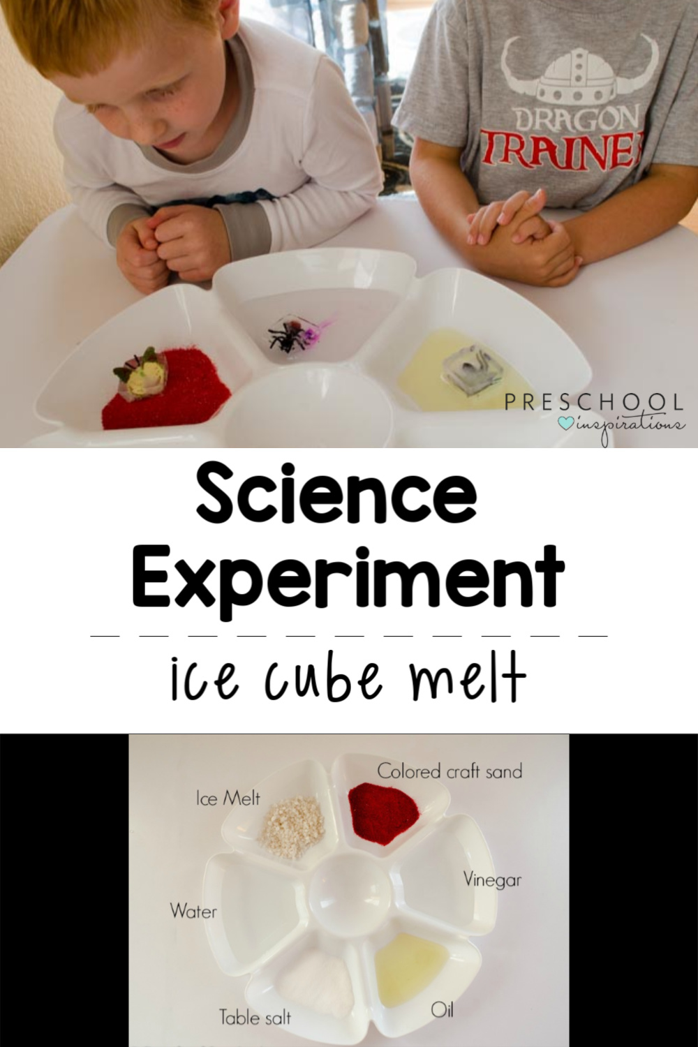 An easy science experiment for preschool - which ice cube will melt the fastest? I've found that science for kids is best when you let them lead the scientific process, and this experiment is exactly that!