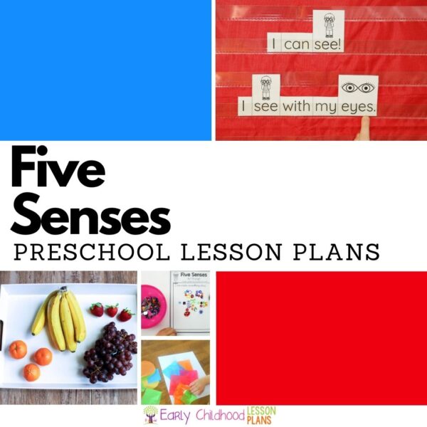 cover image for five senses preschool lesson plan