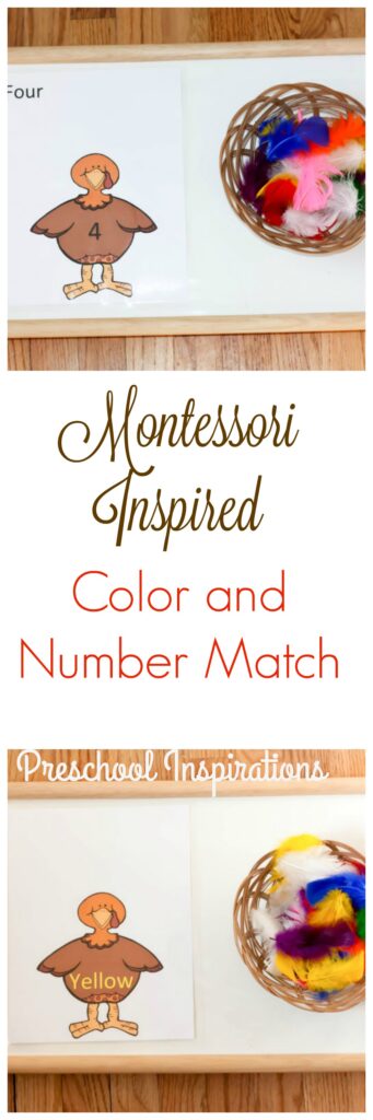 Practice colors and numbers with this Montessori inspired turkey game