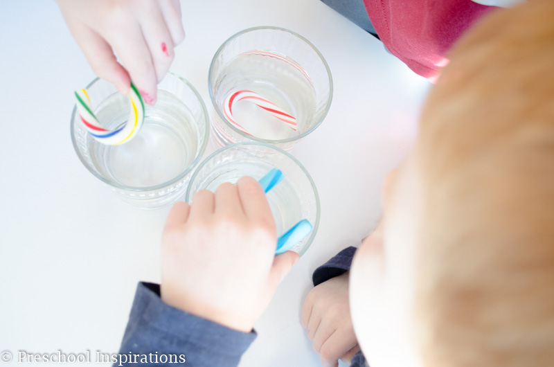 Colored Candy Cane Science Experiment by Preschool Inspirations-7