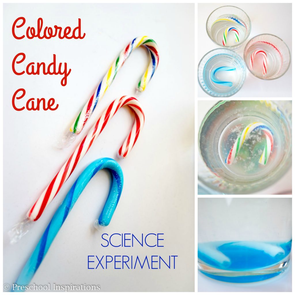 Easy Colored Candy Cane Science Experiment by Preschool Inspirations