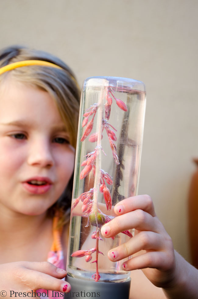 a girl looking at a spring sensory bottle