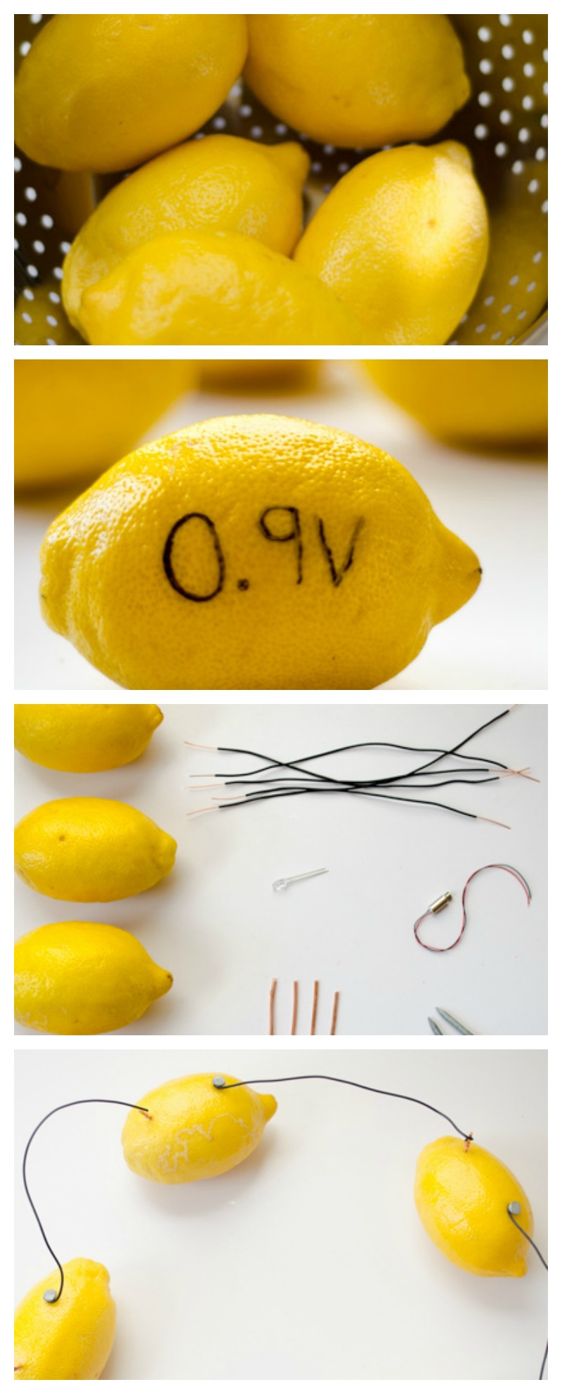 A wonderful preschool science experiment! Get those STEAM gears turning with this lemon-powered battery. #preschool #prek #STEM #STEAM #preschoolscience #scienceprojects