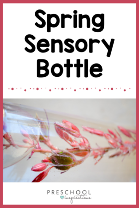 a horizontal image of a pink desert flower inside a sensory bottle with the text spring sensory bottle