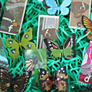 Match butterflies and letters with this butterfly alphabet match sensory bin