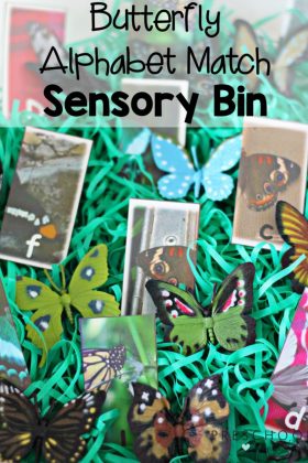Butterfly Alphabet Match Sensory Bin