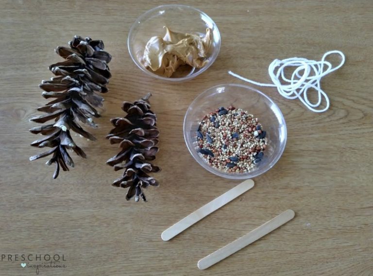 How To Make Pine Cone Bird Feeders with Preschoolers