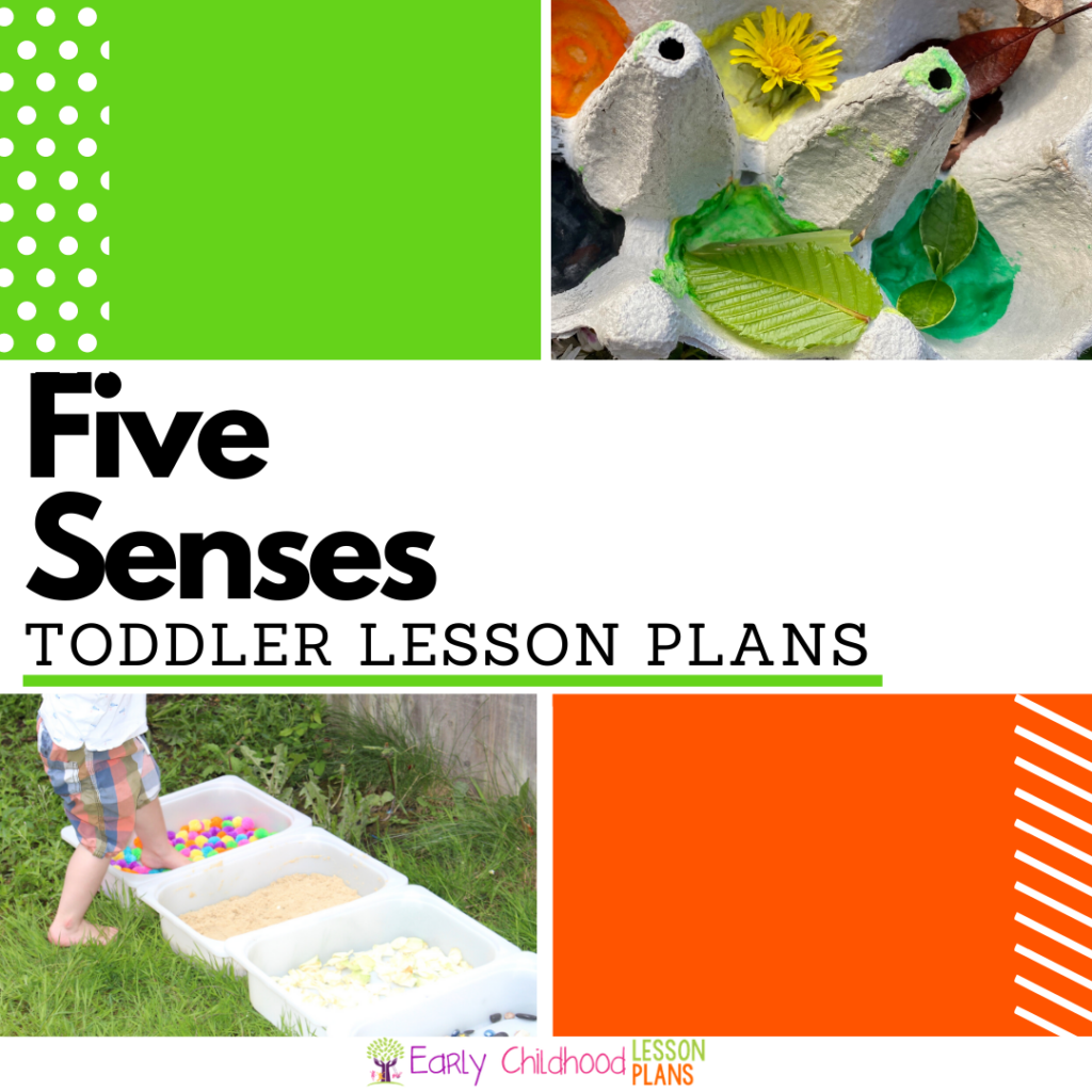 cover image for Toddler Five Senses Lesson Plan