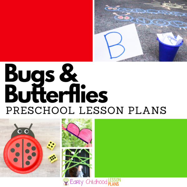 cover image for Preschool Lesson Plans Bugs and Butterflies