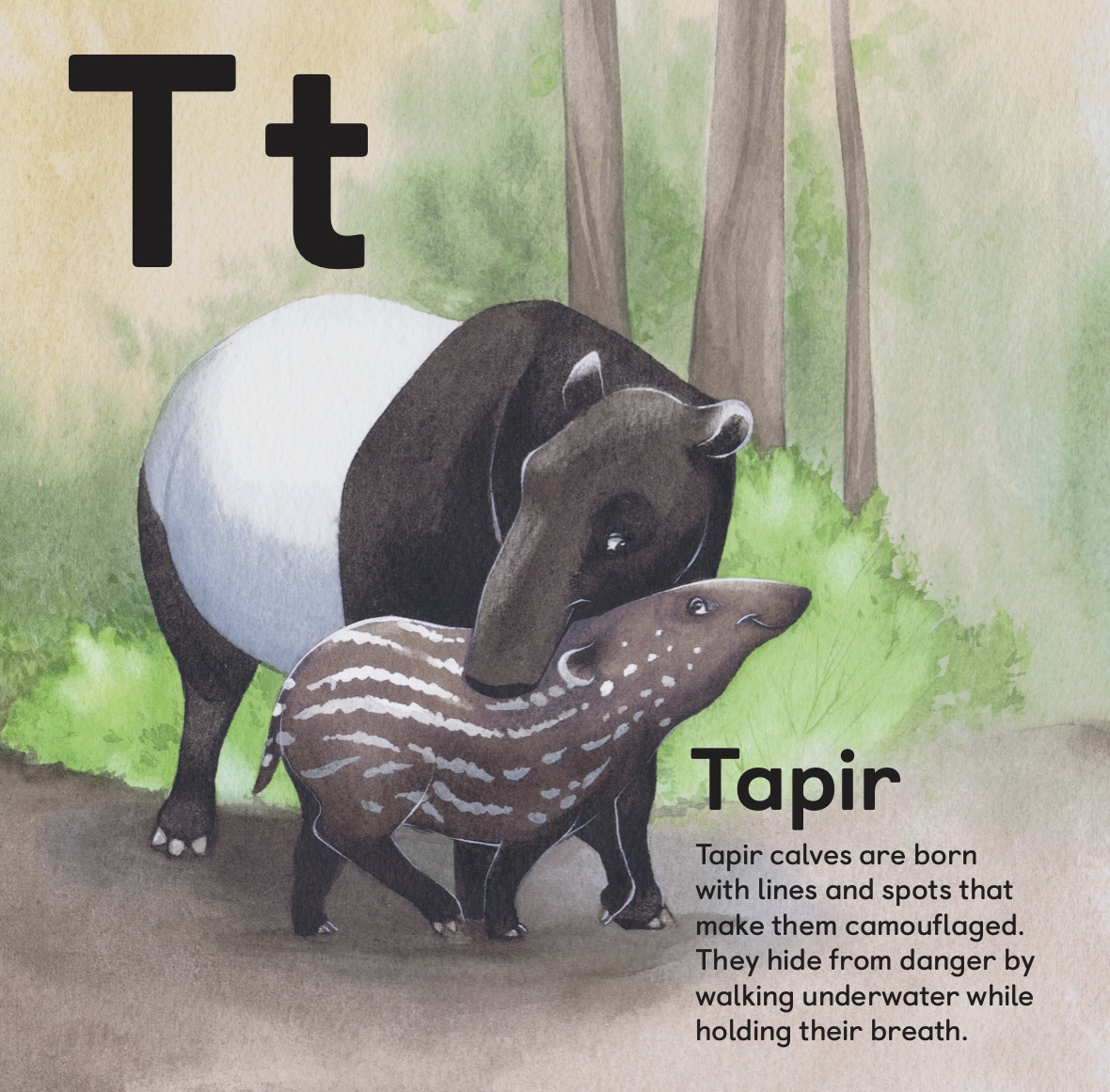 Tapir mother and baby