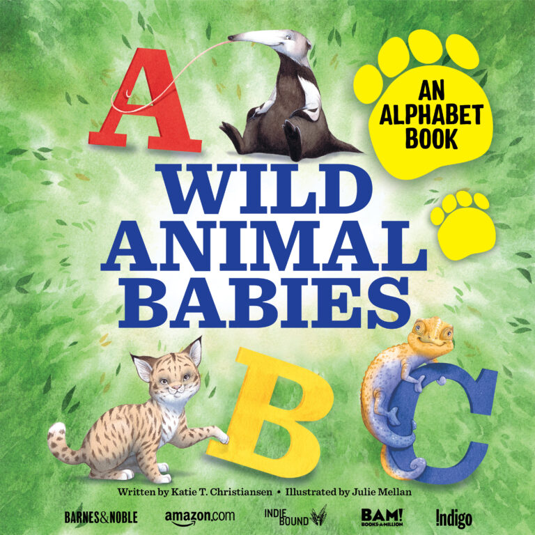 Book cover of Wild Animal babies