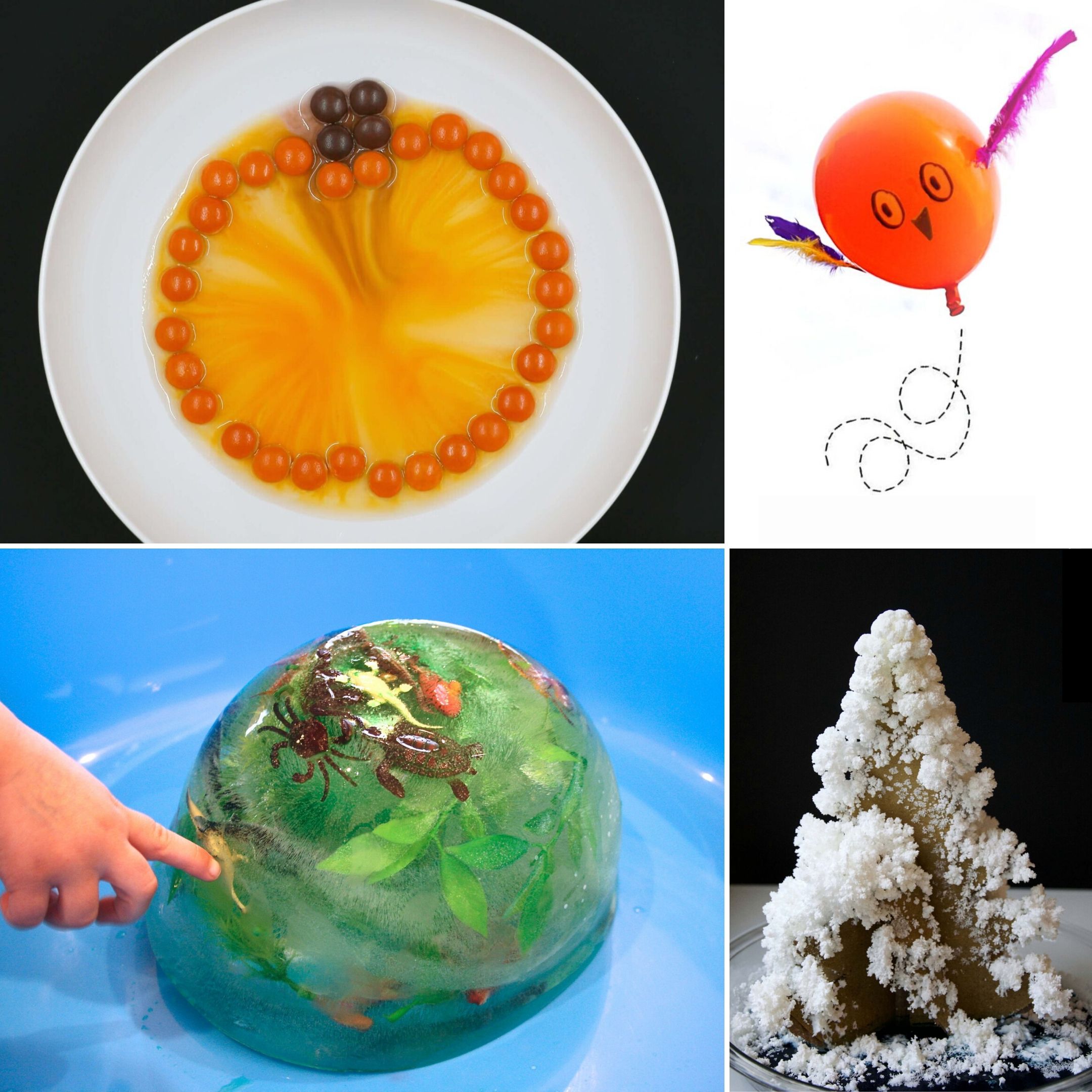 collage of seasonal preschool science activities