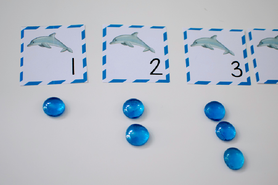 dolphin counting cards with the numbers one, two, and three