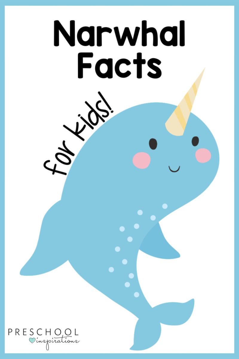 Narwhal Fun Facts for Kids - Preschool Inspirations